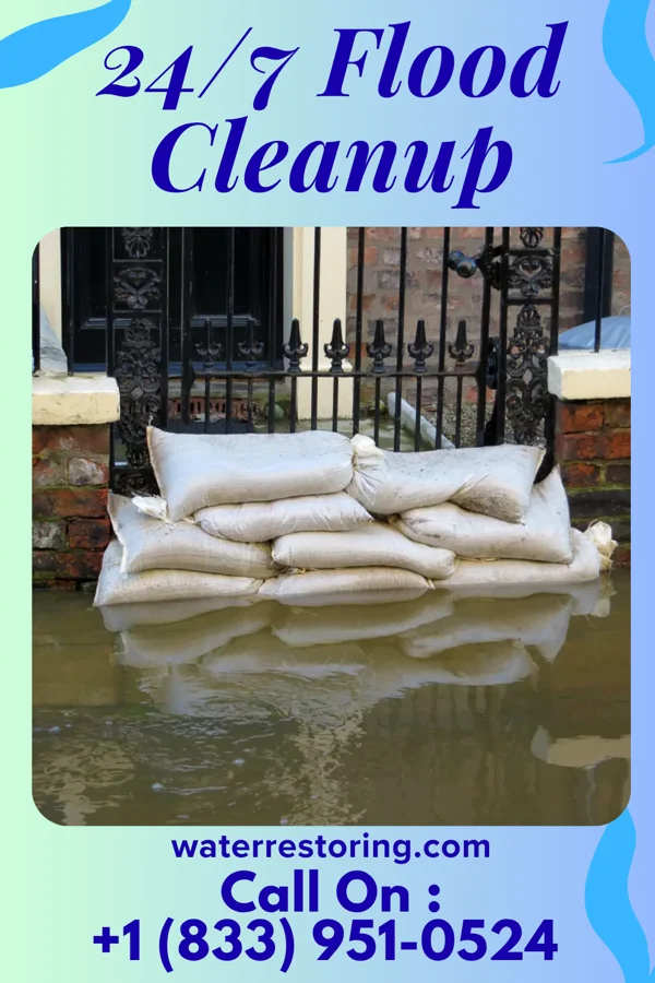 24/7 Flood Cleanup in Knottsville, KY