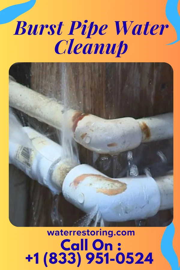 Burst Pipe Water Cleanup in Knottsville, KY