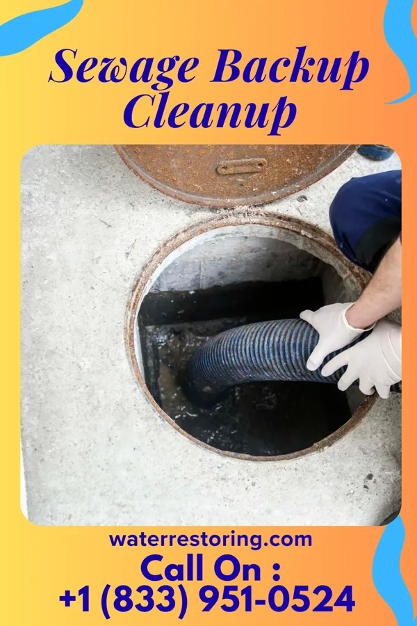 Sewage Backup Cleanup in Knottsville, KY
