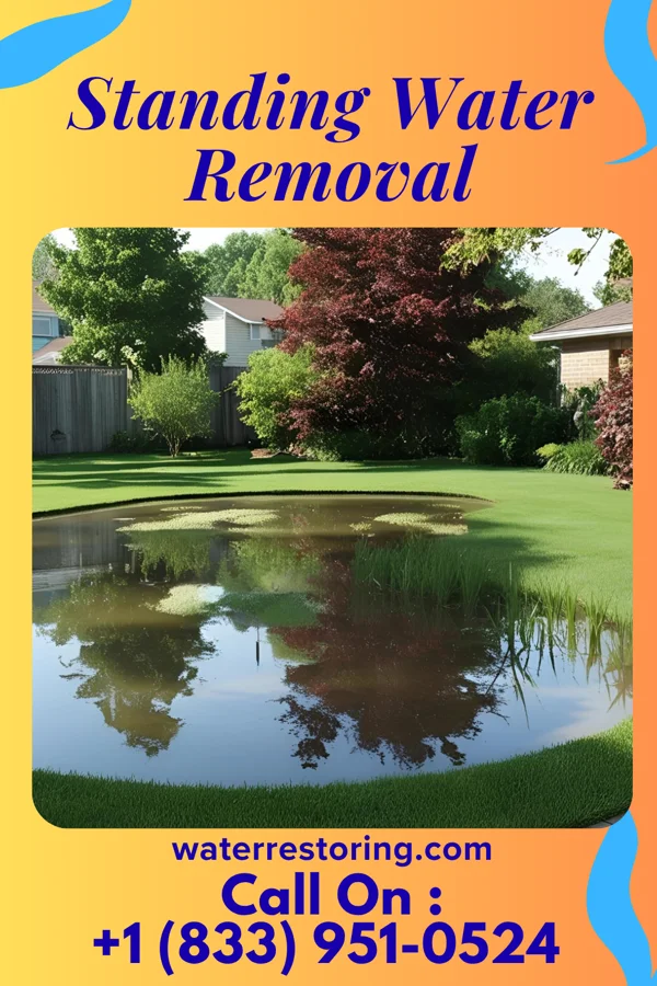 Standing Water Removal in Knottsville, KY